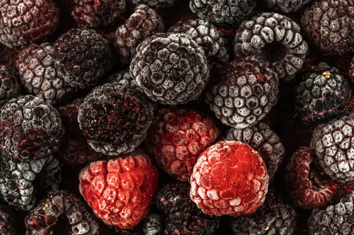 Freezing Ripe Fruit: A Beginner's Guide to Bags, Purées and Portions