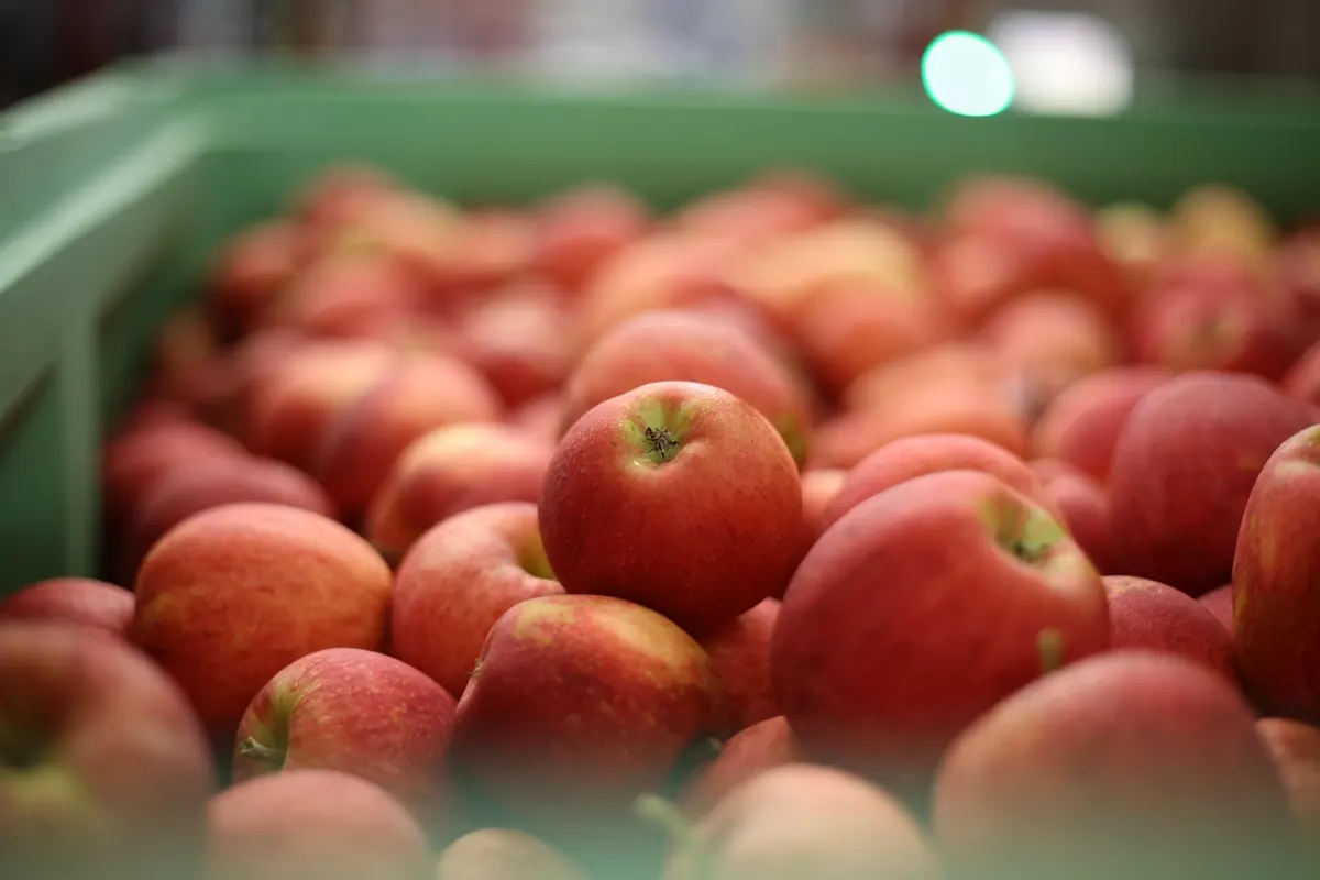 How to Store Apples So They Stay Crisp for Weeks
